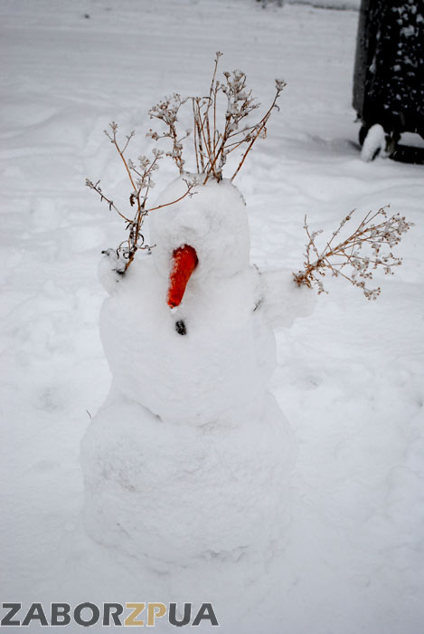 �������� (������ ����, ���������)