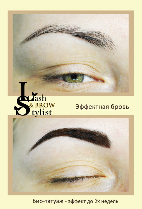 ������ "������� ������ � ������" � ���������