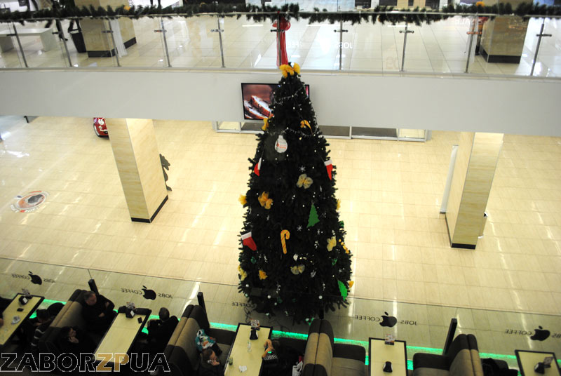 ���� �  ��� ������ (��������)