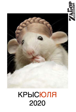 �������. ��������� �� 2020 ���