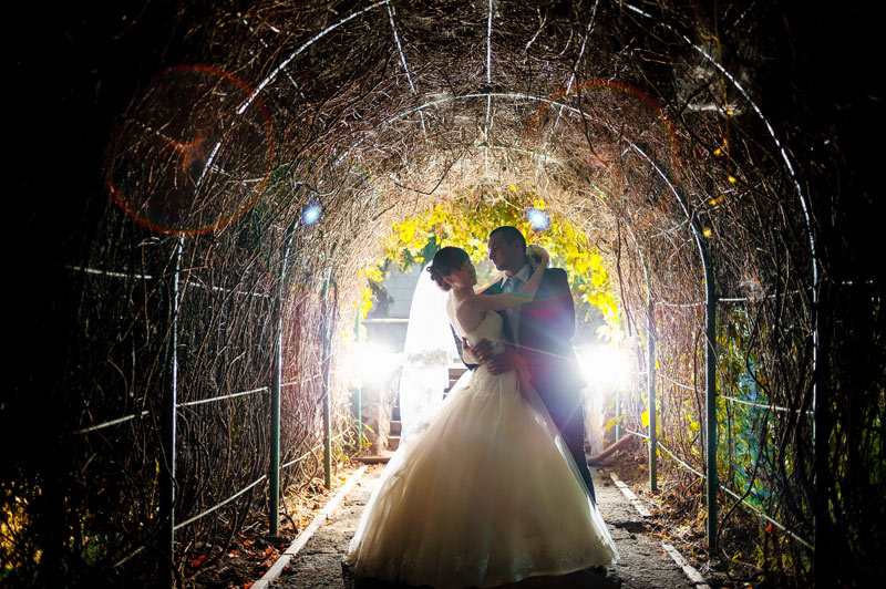 ���� ������� ���������