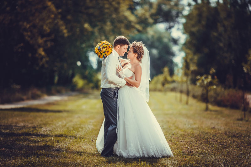 ���� ������� ���������