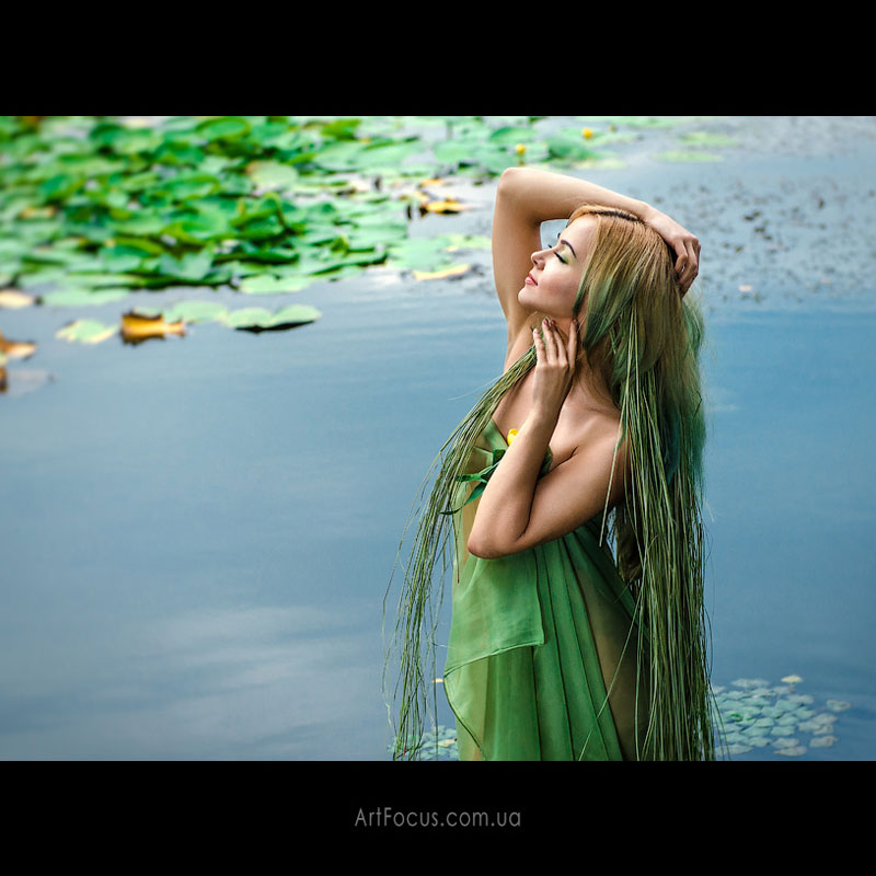 ����� ����������� (��������)