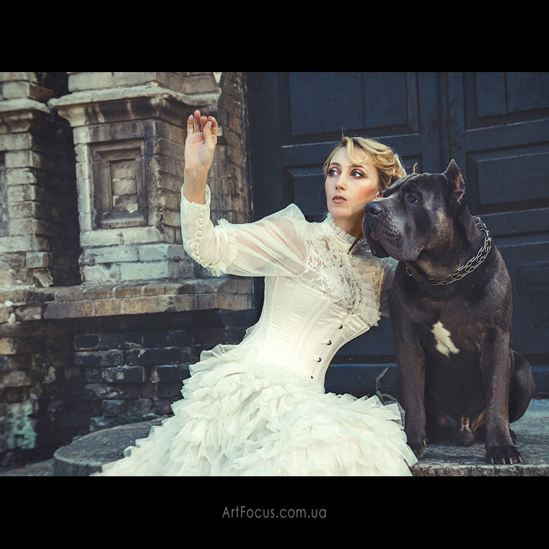 ����� ����������� (��������)