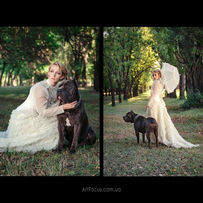 ����� ����������� (��������)