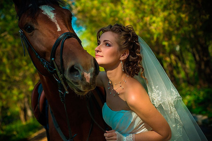 �����-���������� ���� "����������� ����"