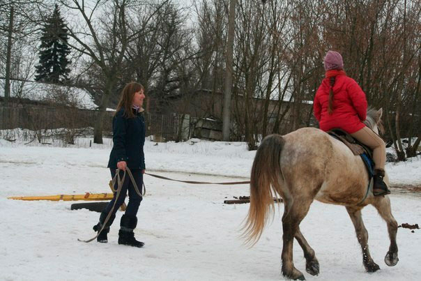 �����-���������� ���� "����������� ����"