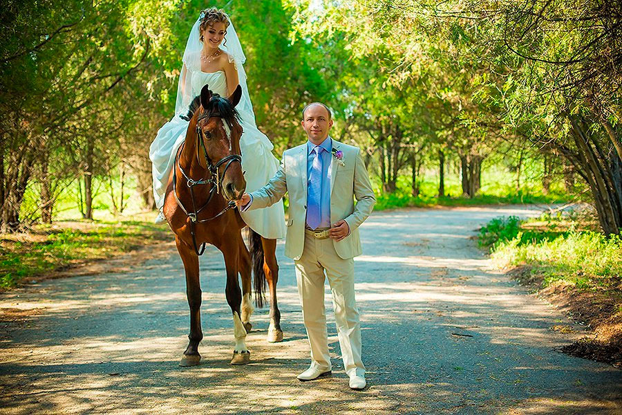 �����-���������� ���� "����������� ����"