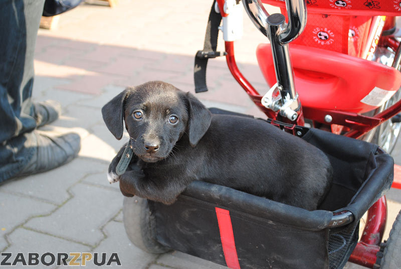 ������ � ������� (���������)