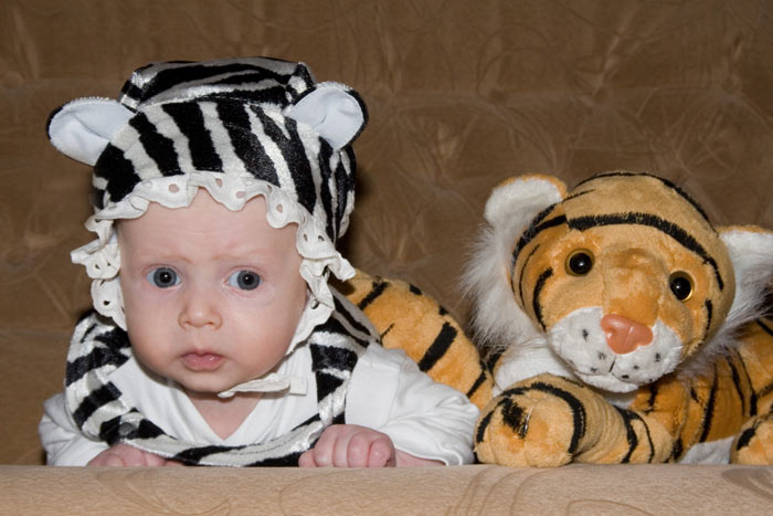 ��������� ����������. 2 ������