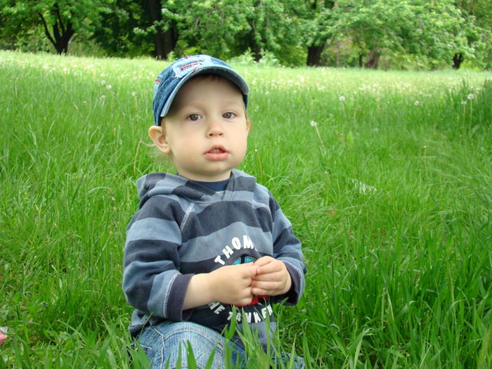 ������ ���������, 1 ��� 11 ���.