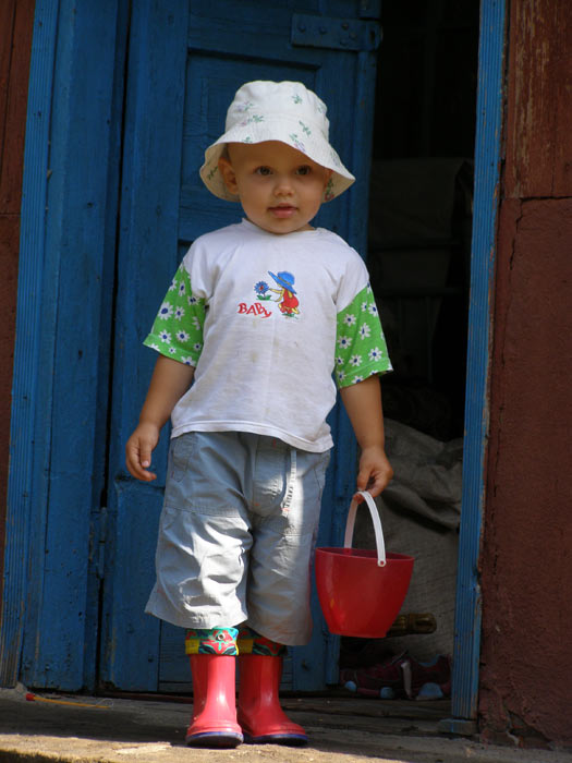 ���� ��������. 2,5 ����.