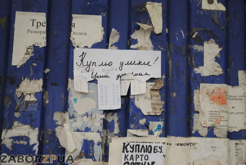 ����� �����