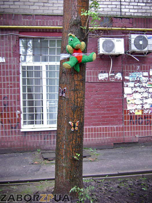 ��� ����