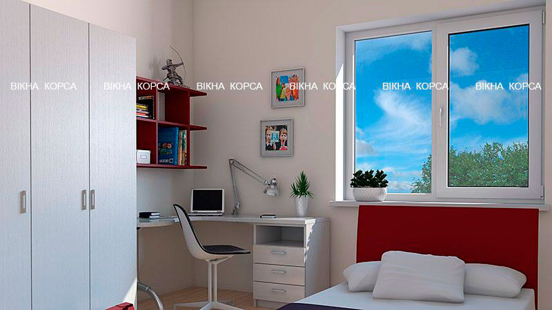 ���� ����� � ���������