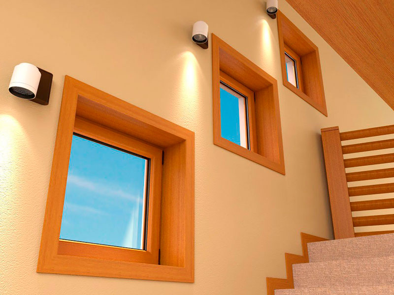 ���� ����� � ���������