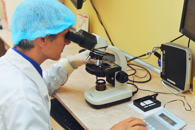 "���������" (����������� ��������)