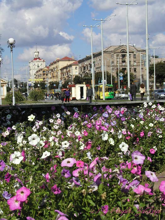 ������� �������� (���������). ��� �� �����