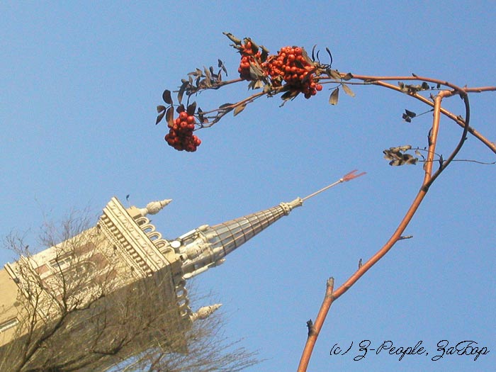 ����������� �����