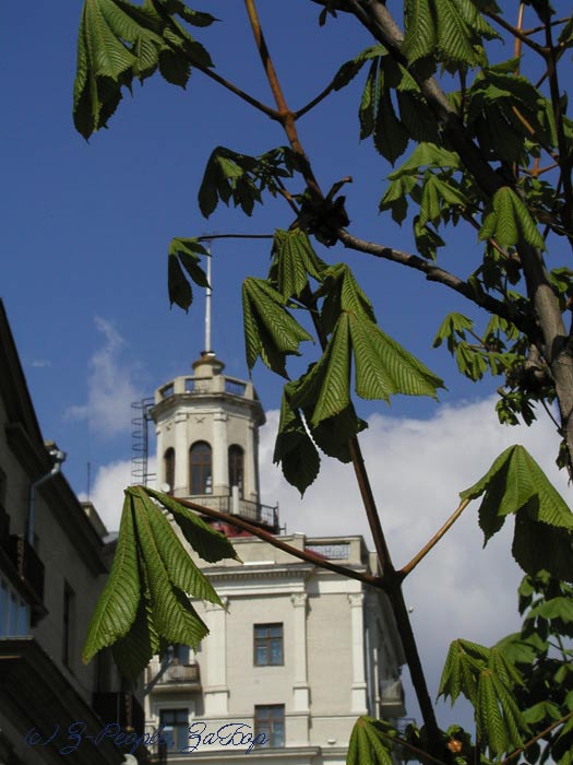 ����� �� ������ �� ��������� ������