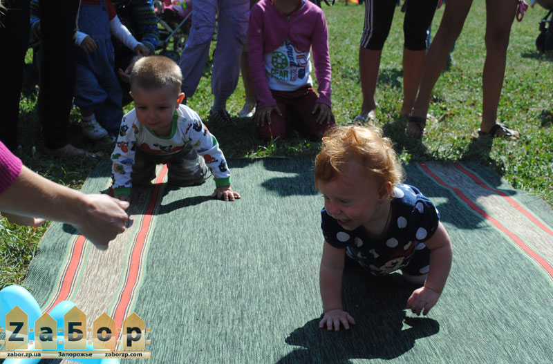 ����� �������-2015 � ���������