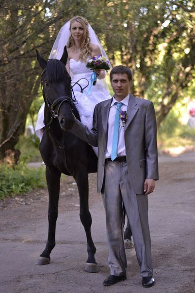 ������ �������� ���������