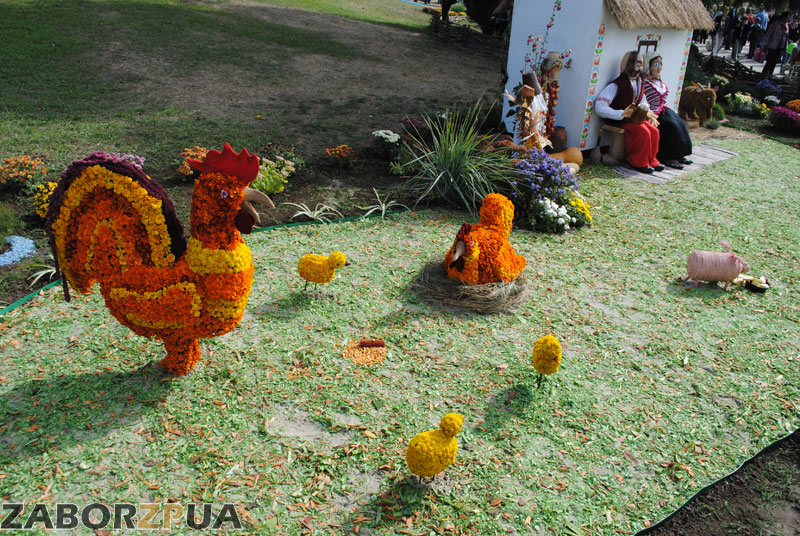 ��������� �����. ���������� �������-2015 � ���������