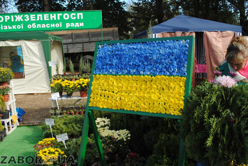 ��������� �� ���������� �������-2015 � ���������