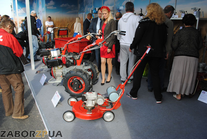 ������� � ����� �� ���������� �������-2015 � ���������