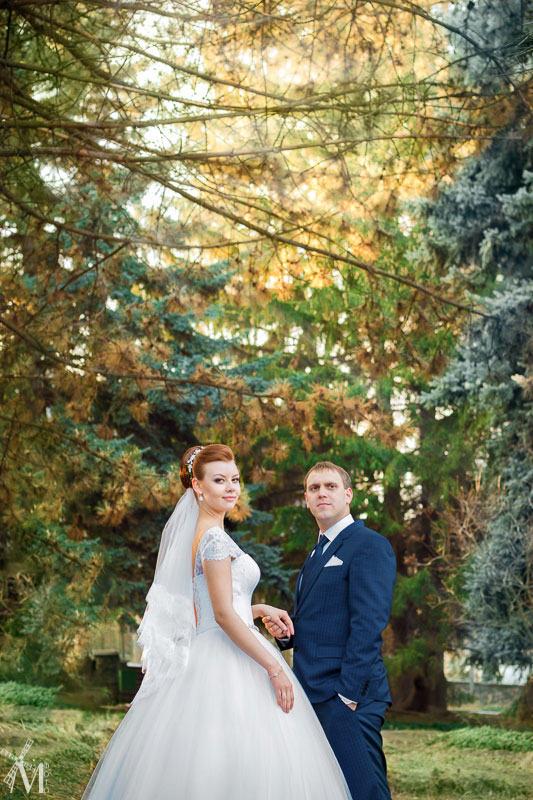 ���� �������� (��������)