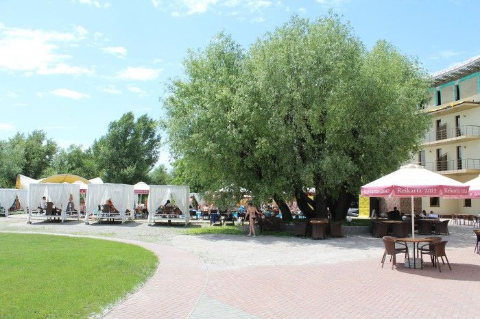 "Reikartz" - "��������" (�����) � ���������