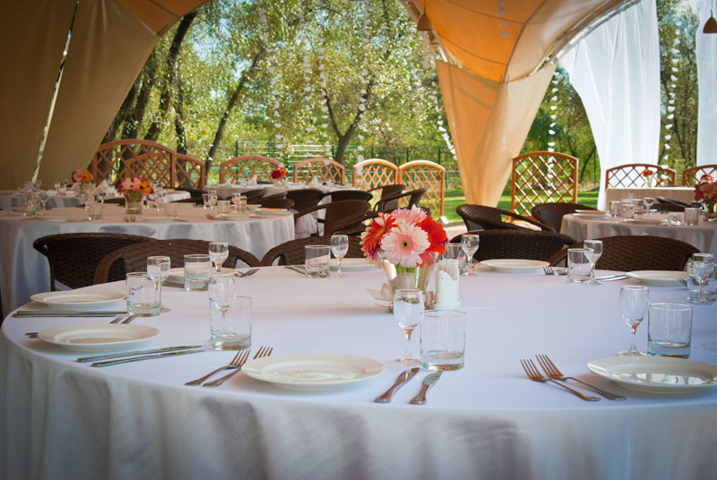 "Reikartz" - "��������" (����������� ��������, ��������)