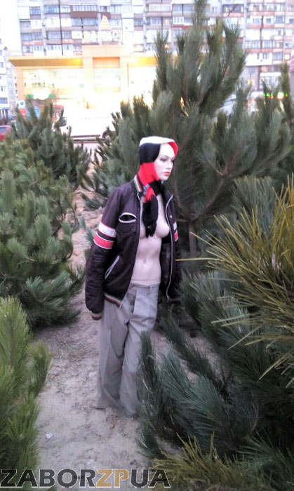 ������� � ����� (�����, ���������)