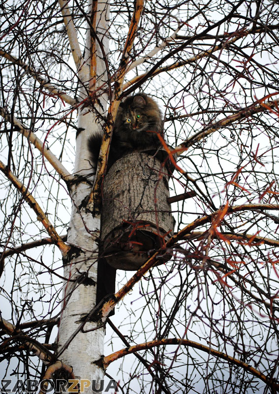 ������� ���������!