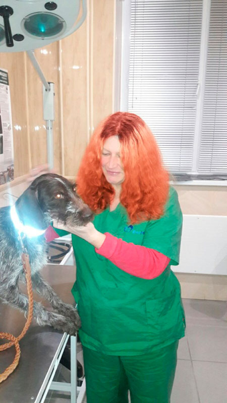 "������" (�������������� ������������ � �������), ���