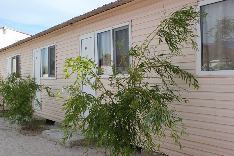 "���� ������" (���� ������) ���.����������, �������� ����