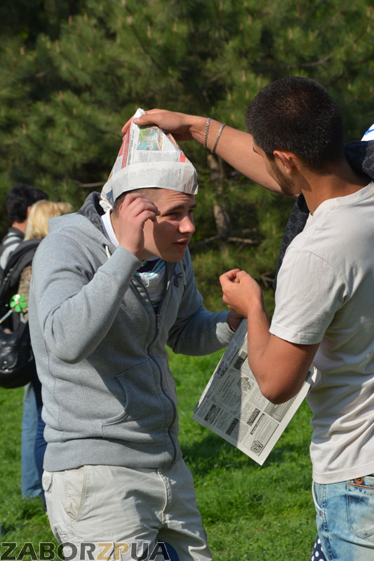 �����Fest � ���������