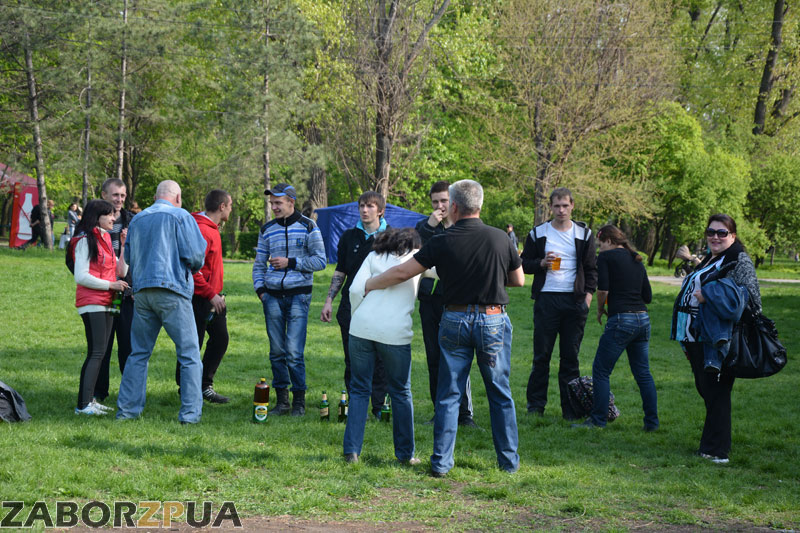 �����Fest � ���������