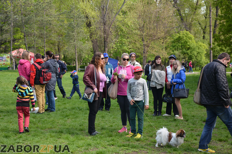 �����Fest � ���������