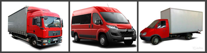 "Gruzbus" (��������������)