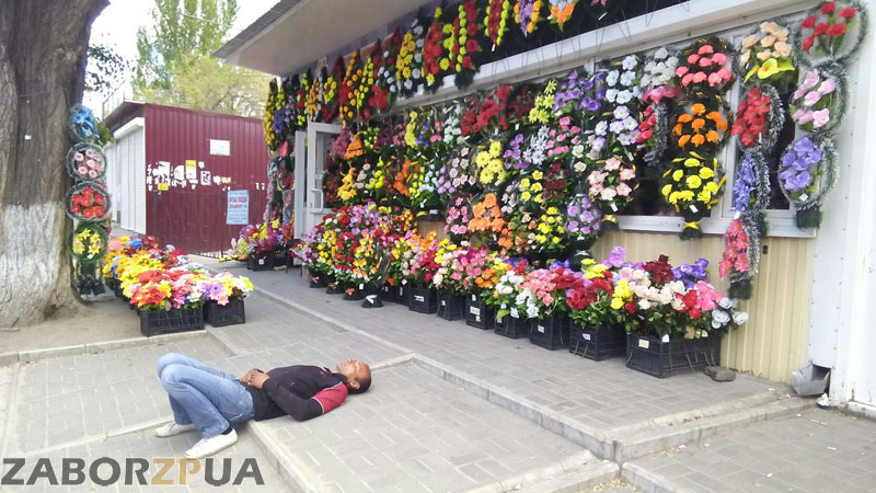 ���������� � ����������� ���� ��-����������