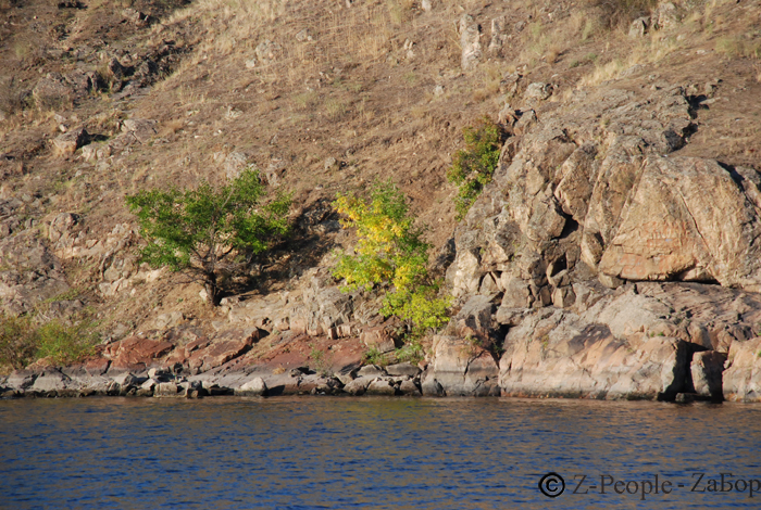 ������ �������