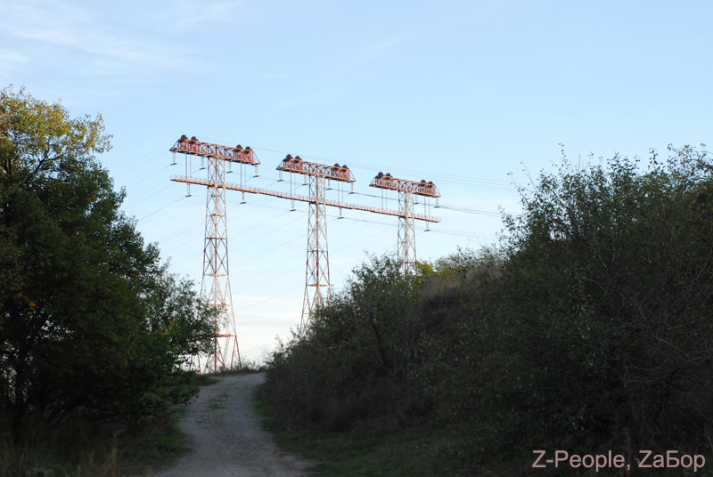 ��� �����