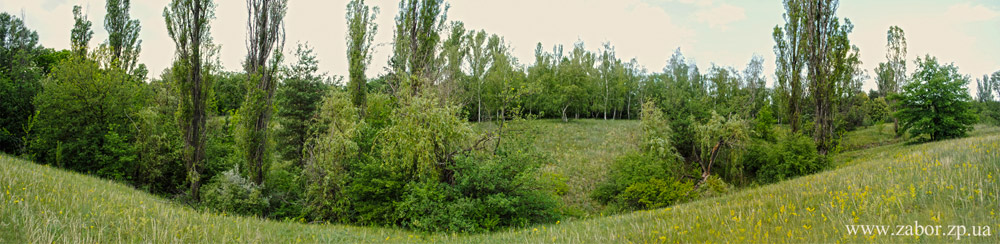 ��������� ����� �� �.������� � ���������