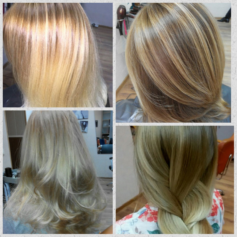 "Julia Wed" (�����), ������� ���� ��������