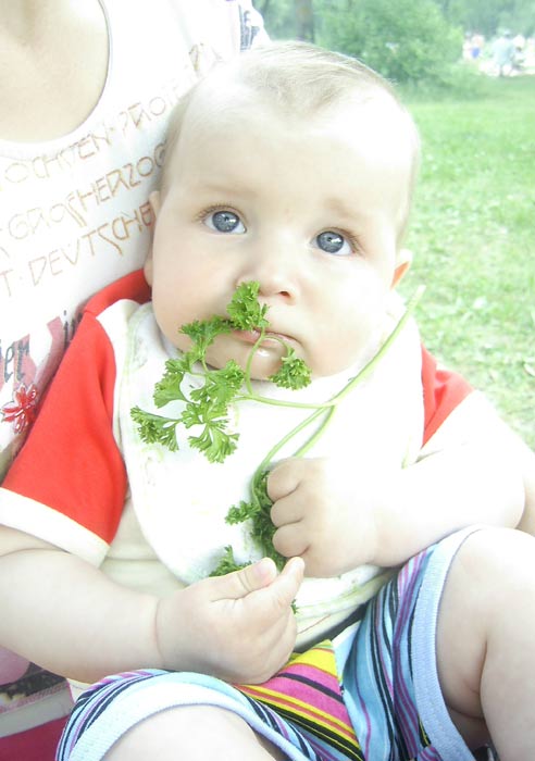 ���� ��������. 1 �����