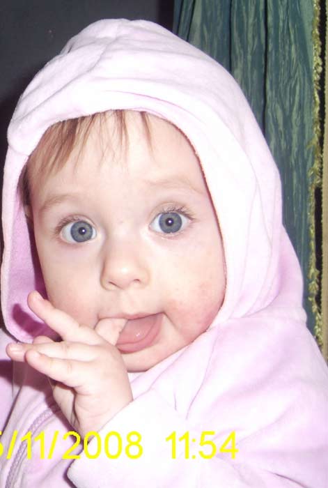 ��������. 1,9 ����