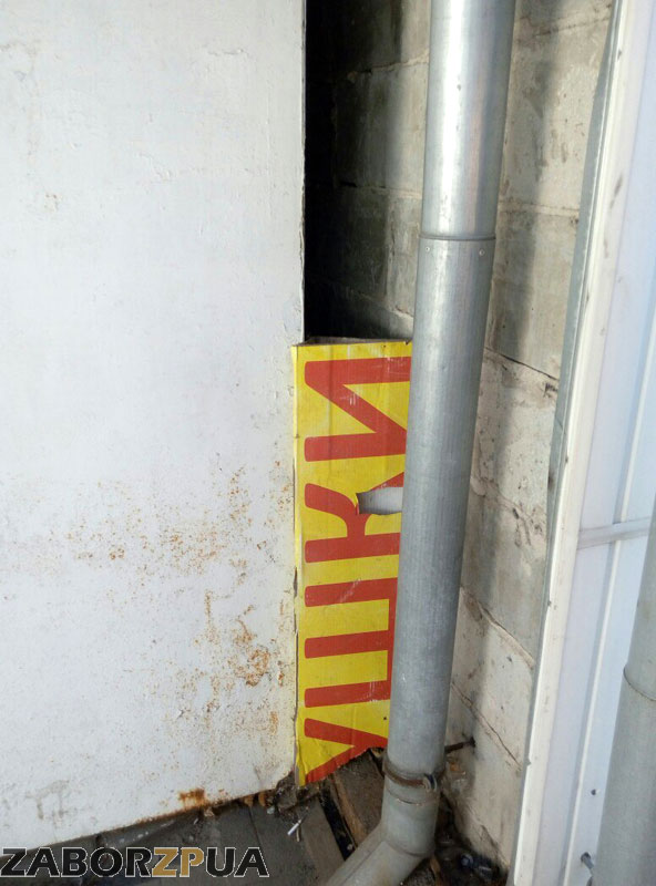 ���� ����������