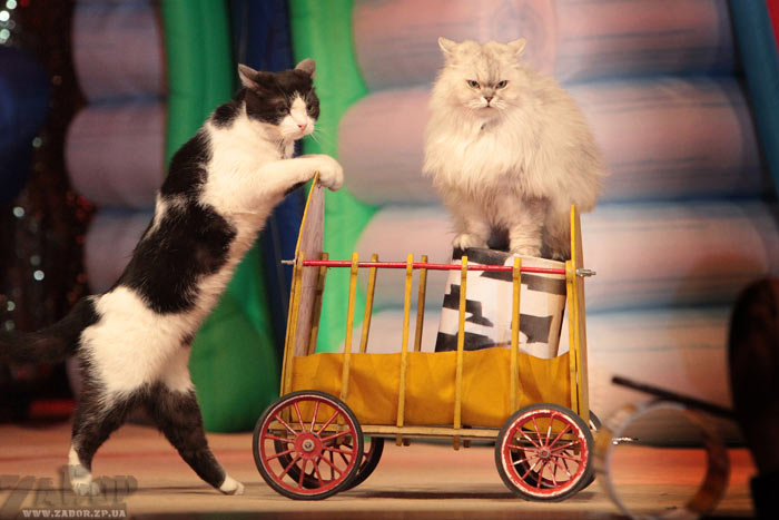 ����� ����� ��������� � ���������