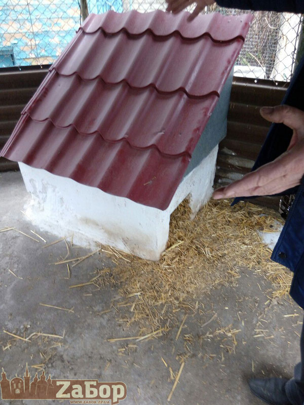 ���� ����� � ��������� �� ���